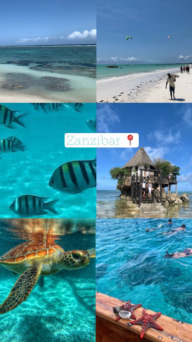 4-Day Zanzibar - Serenget - Zanzibar Wildbeest Migration
